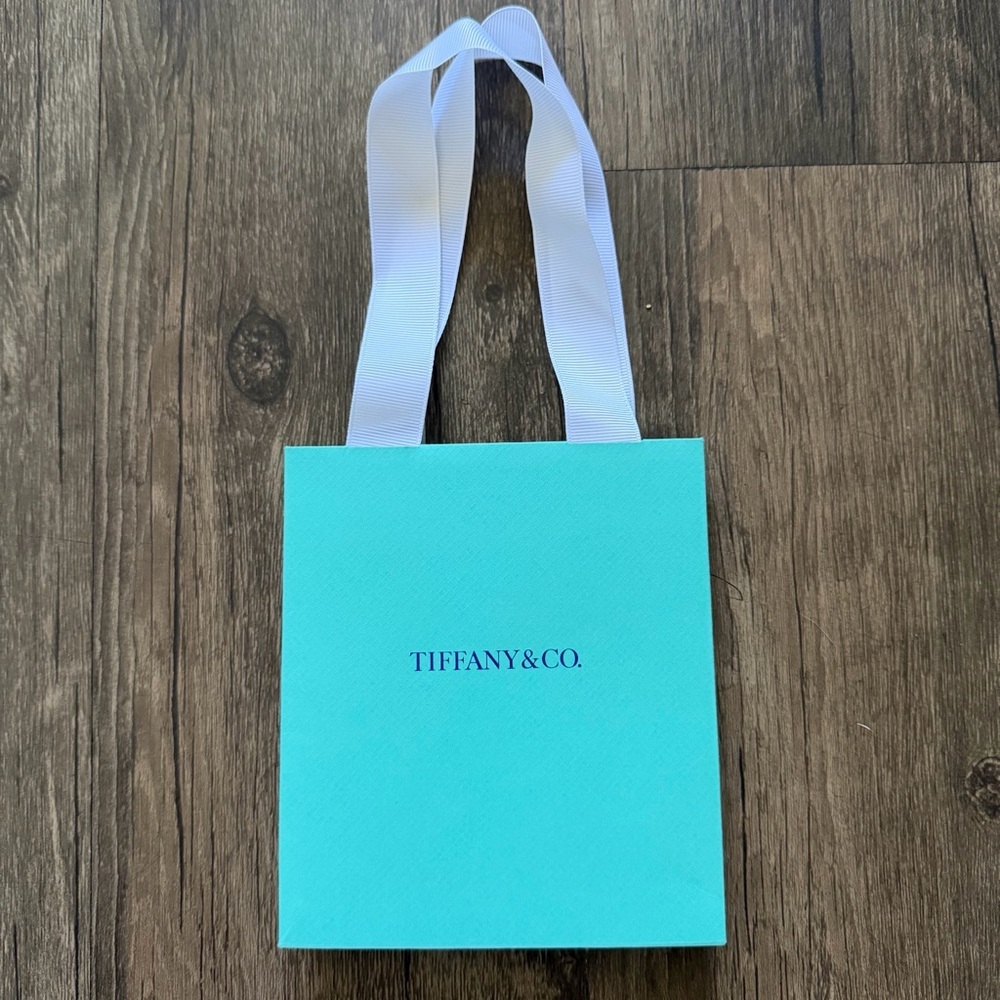 TIFFANY & CO Turquoise Blue Mini Paper Gift Bags Tote Reusable V Day Birthday